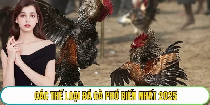 Các thể loại đá gà phổ biến nhất 2025