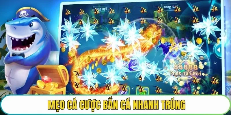 Mẹo cá cược bắn cá nhanh trúng
